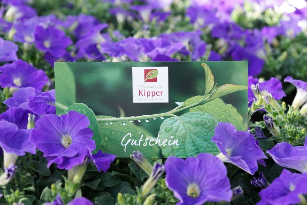 Pflanzencenter Kipper AG - Gutscheine aus dem Pflanzencenter Kipper in Güttingen