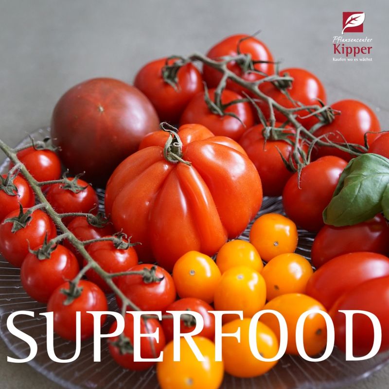 Superfoods und Immunpflanzen